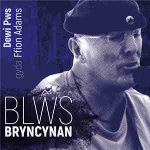 Dewi Pws Gyda Ffiona Adams - Blŵs Bryncynan