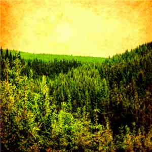 Joseph Curwen  - Forest Night