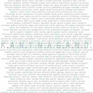 k.a.n.t.n.a.g.a.n.o. - Acro