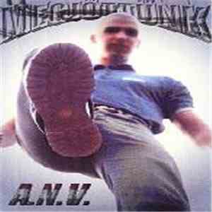 A.N.V. - Megjöttünk