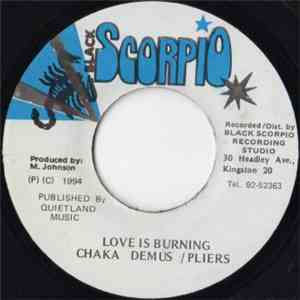 Chaka Demus & Pliers - Love Is Burning
