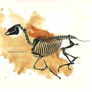 Sky Burial - VI: Excarnate