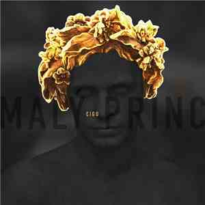 Cigo - Malý Princ