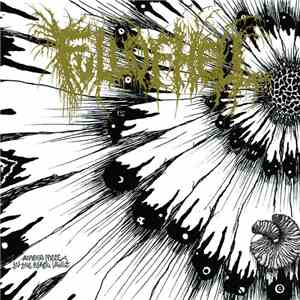 Full Of Hell - Amber Mote In The Black Vault