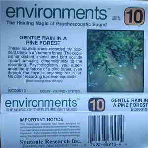 No Artist - Environments 10 (Gentle Rain In A Pine Forest)