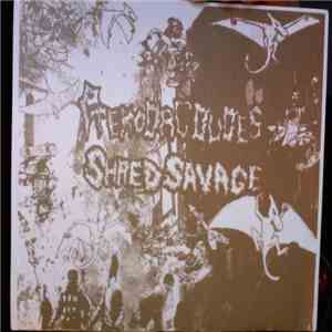 Pterodacdudes / Shred Savage - Pterodacdudes / Shred Savage