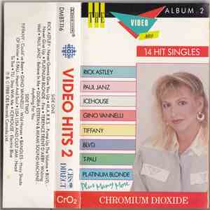 Various - The Video Hits Album 2