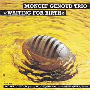 Moncef Genoud Trio - Waiting For Birth