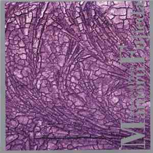 Mamoru Fujieda - Patterns Of Plants
