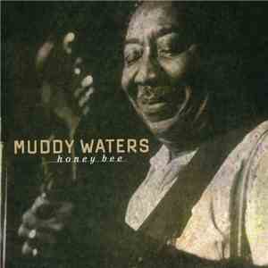 Muddy Waters - Honey Bee