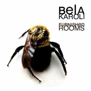 Bela Karoli - Furnished Rooms