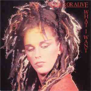 Dead Or Alive - What I Want