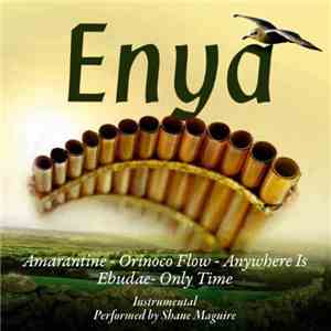 Shane Maguire - The Very Best Of Enya On Panpipes