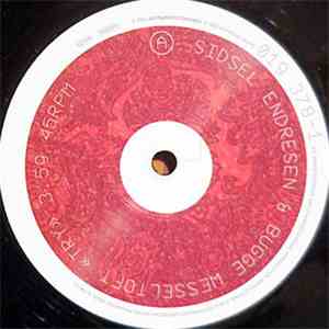 Sidsel Endresen & Bugge Wesseltoft - Try
