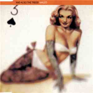 And Also The Trees - Nailed