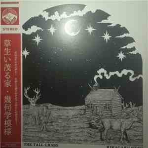 Kikagaku Moyo - House In The Tall Grass