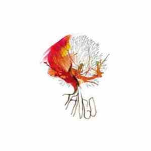 Underschool Element - Tango