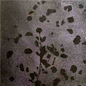 Danny McGirr  - Tangled Threads