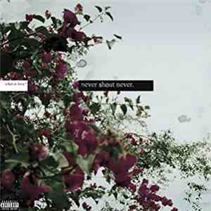 Never Shout Never - What Is Love?