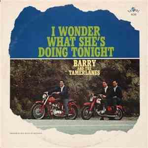 Barry And The Tamerlanes - I Wonder What She's Doing Tonight
