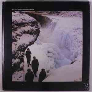 Echo & The Bunnymen - Porcupine