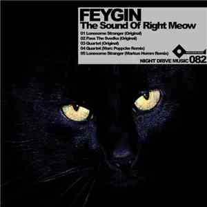 Feygin - The Sound Of Right Meow