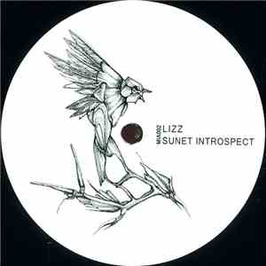 LIZZ - Sunet Introspect