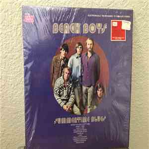 The Beach Boys - Summertime Blues