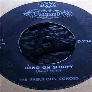 The Fabulous Echoes - Hang On Sloopy