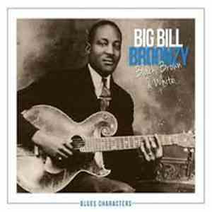 Big Bill Broonzy - Black, Brown & White