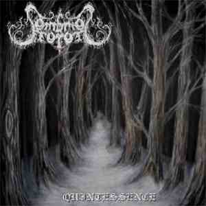 Sombres Forêts - Quintessence