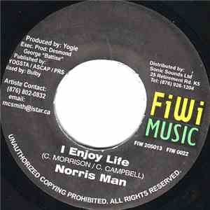 Norris Man / Alley Cat - I Enjoy Life / What A Woman