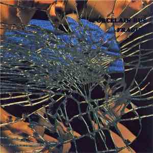 Porcelain Bus - Fragile