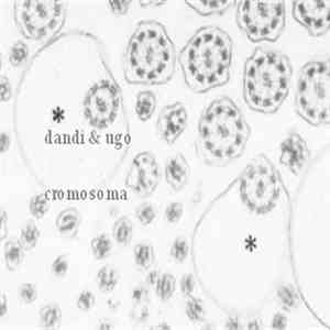 DJ Dandi & Ugo - Cromosoma