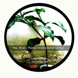 Nus Klue - Planta