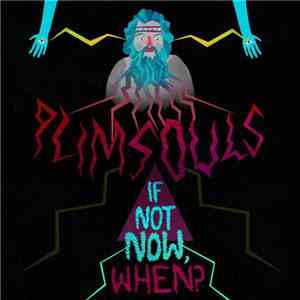 Plimsouls - If Not Now, When?