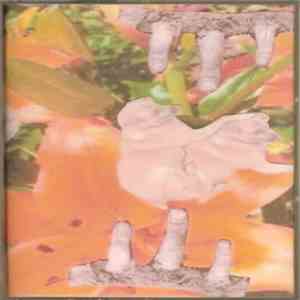 Flangedconfection Auditory Antics - The Vrroom Awakenns