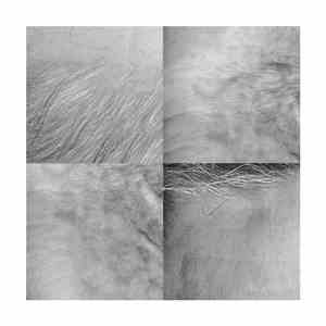 Steve Roden - (For)