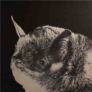 Jeremy Deller, Adrian Sherwood - Freetail Dub