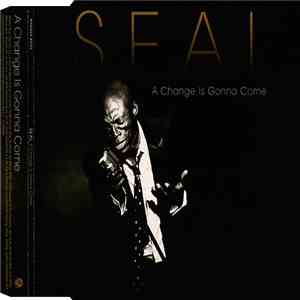 Seal - A Change Is Gonna Come