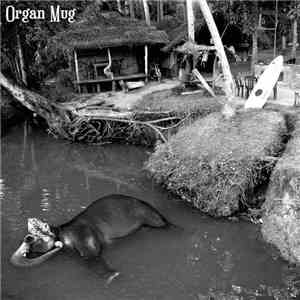 Organ Mug - Is This Real Life?