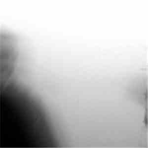 Various - RA Label Of The Month Mix: Opal Tapes