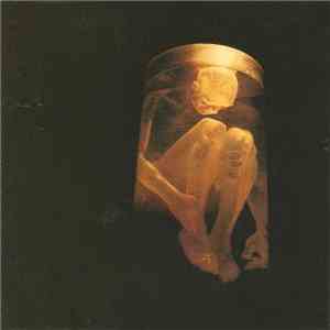 Alice In Chains - Nothing Safe
