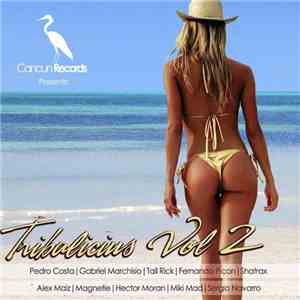 Various - Tribalicius Vol 2