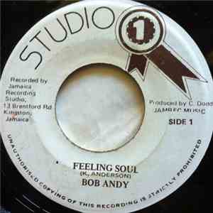 Bob Andy / Sound Dimension - Feeling Soul