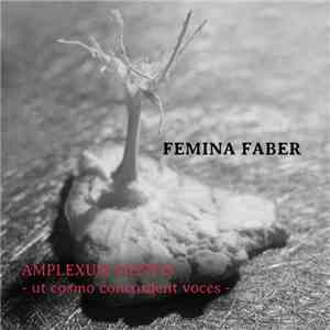 Femina Faber - Amplexum Mentis