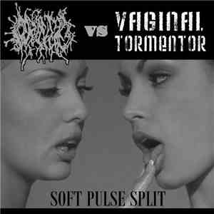 Orifice , Vaginal Tormentor - Soft Pulse Split