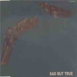 Metallica - Sad But True