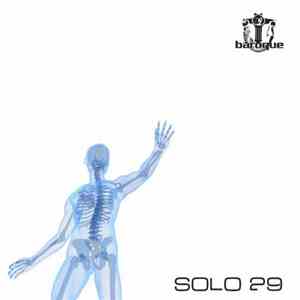 Various - Solo 29