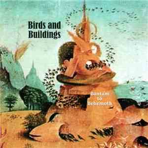 Birds And Buildings - Bantam To Behemoth